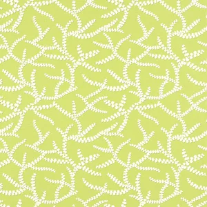 Thibaut Regina in Green (T16072)