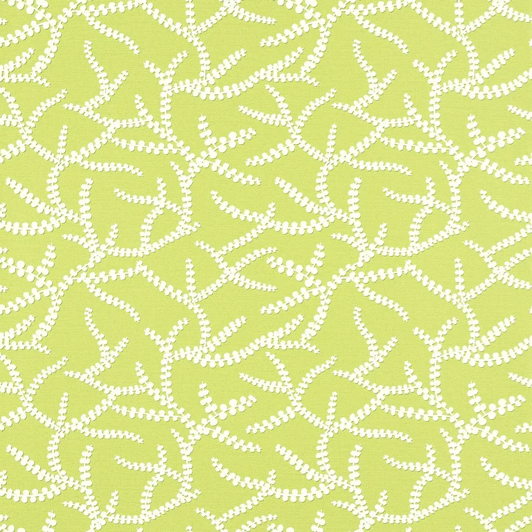 Thibaut Regina in Green (T16072)