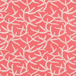 Thibaut Regina in Pink (T16074)