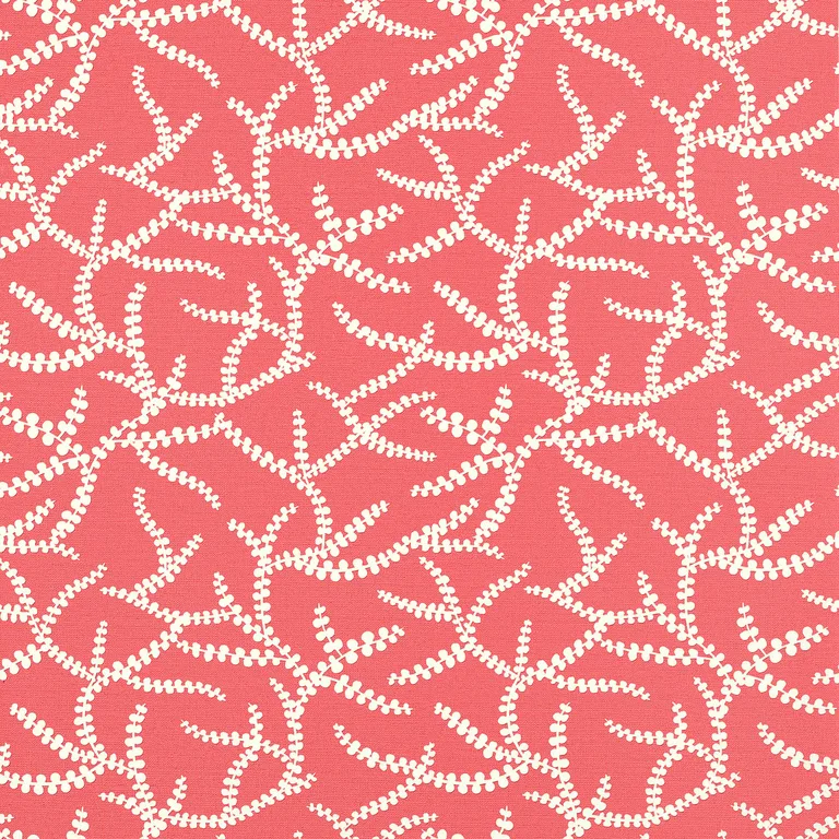 Thibaut Regina in Pink (T16074)