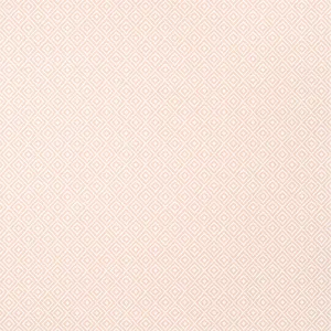 Thibaut Rimba in Blush (T14540)