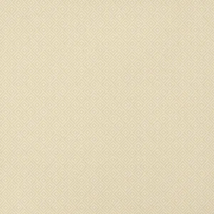 Thibaut Rimba in Camel (T14539)