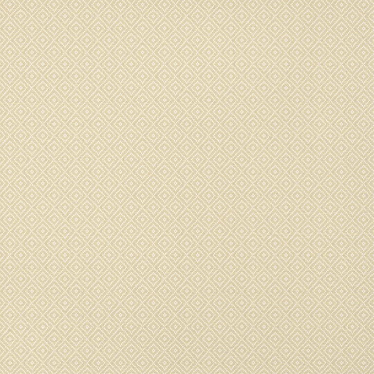 Thibaut Rimba in Camel (T14539)