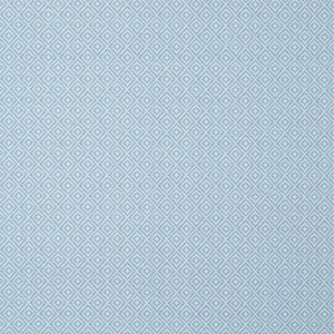 Thibaut Rimba in Cornflower (T14544)