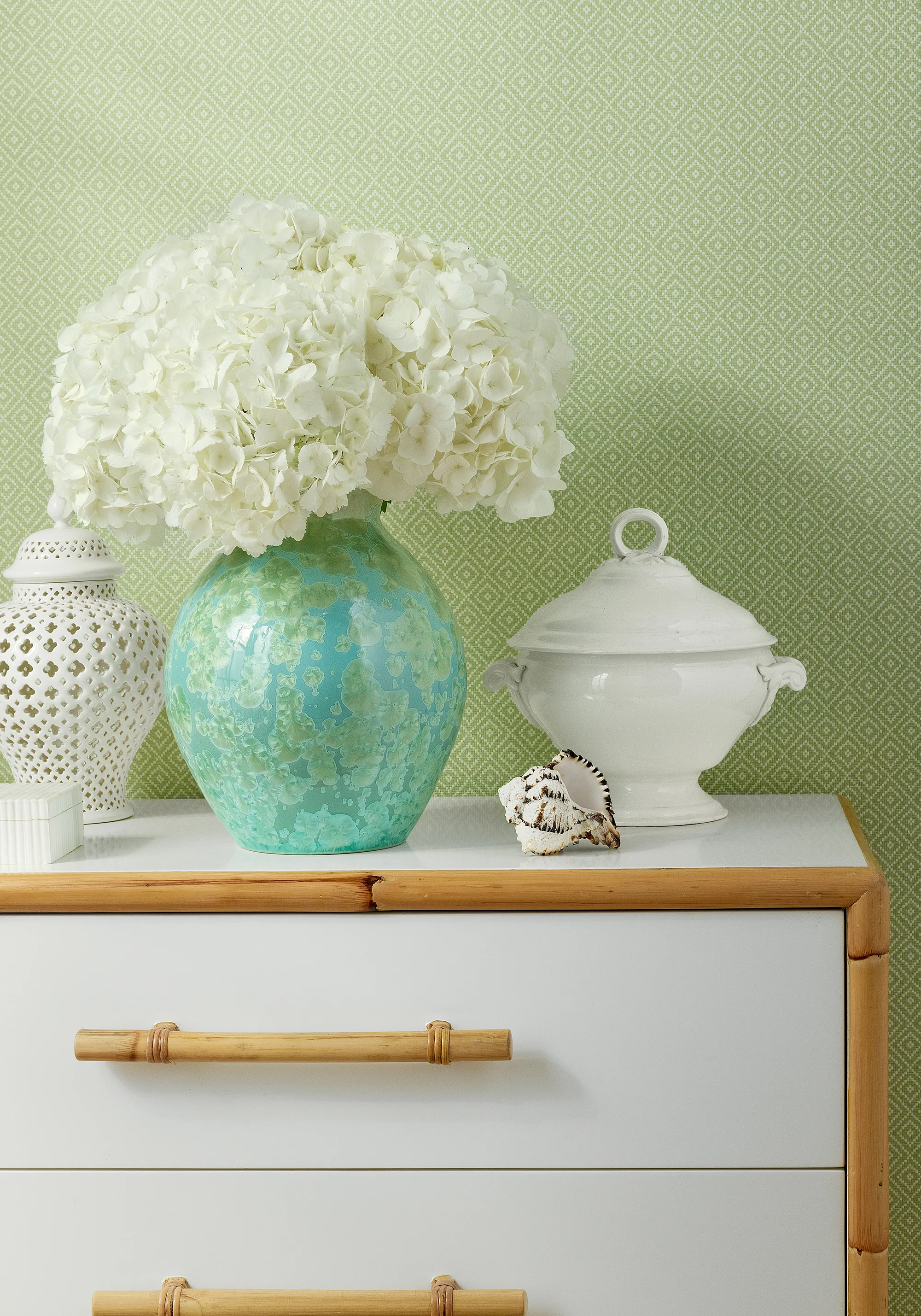 Thibaut Rimba in Spring (T14543)