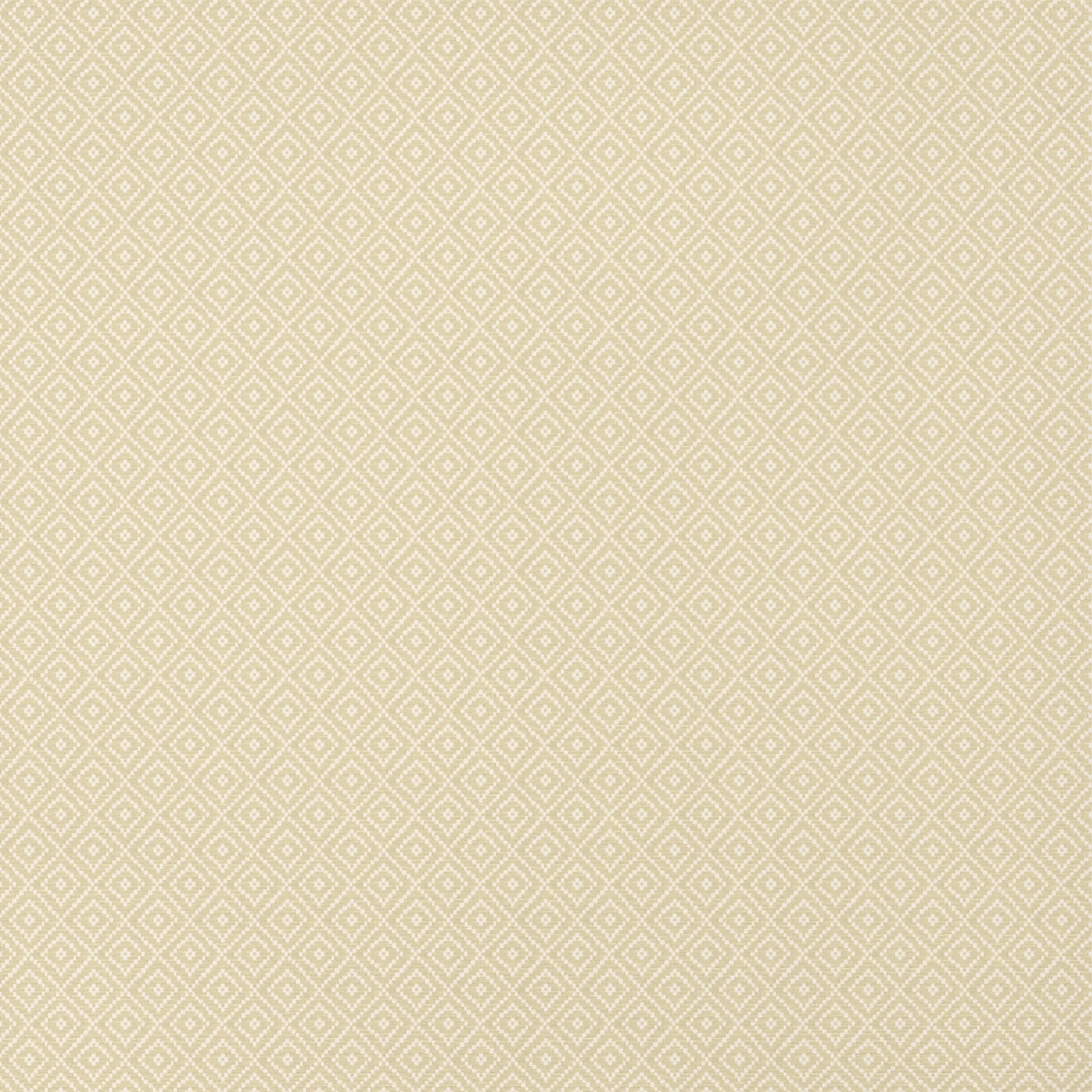 TWW14539 | Rimba Wide Width – Camel
