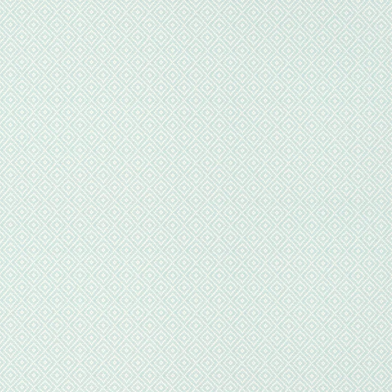 Thibaut Rimba Wide Width in Robin's Egg (TWW14542)