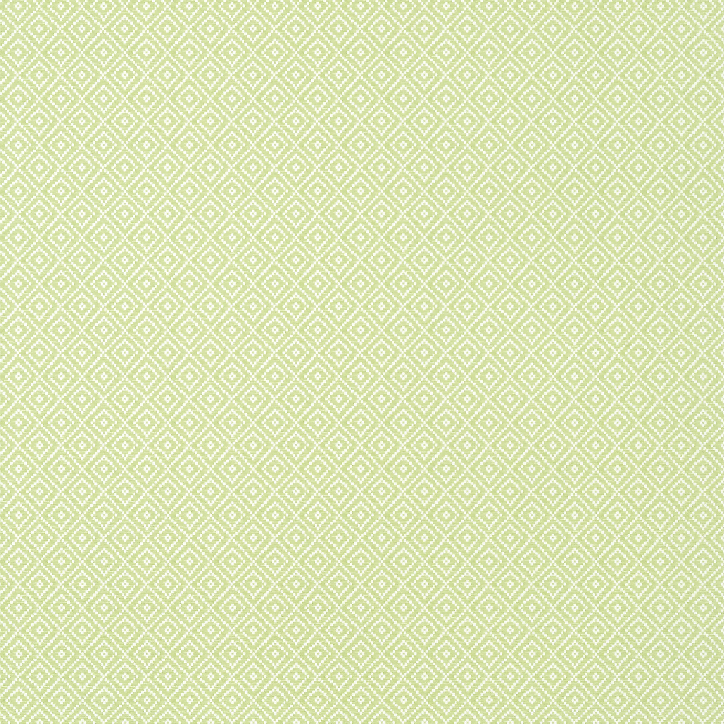 TWW14543 | Rimba Wide Width – Spring