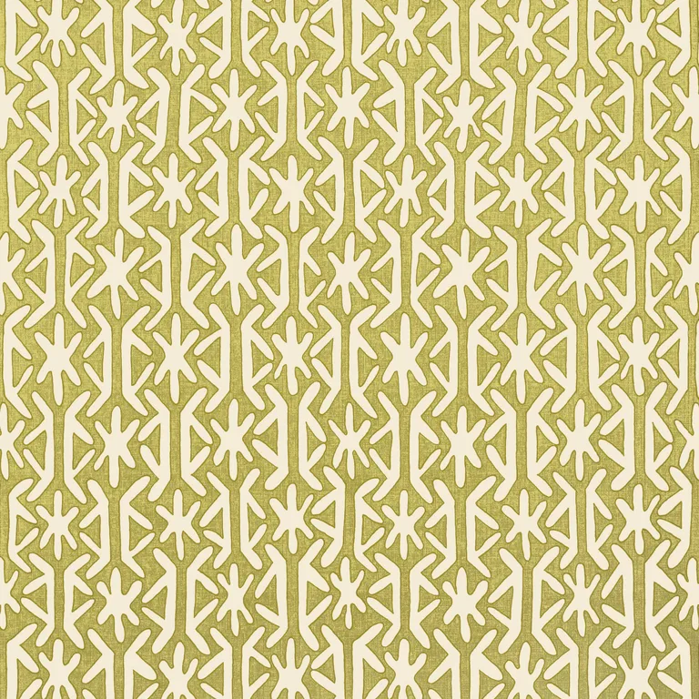 Thibaut Rinca in Green (T5742)