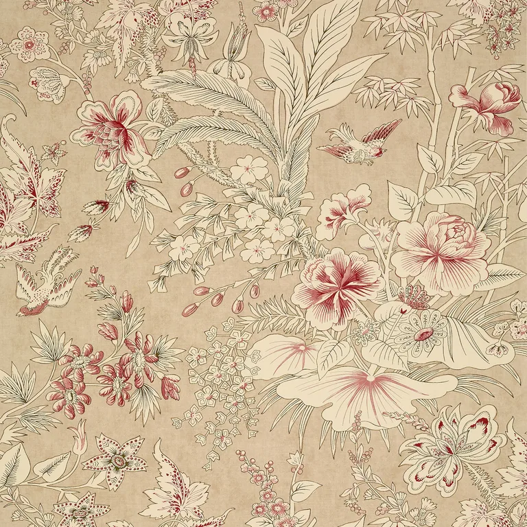 Thibaut Rosalind in Beige (T13601)