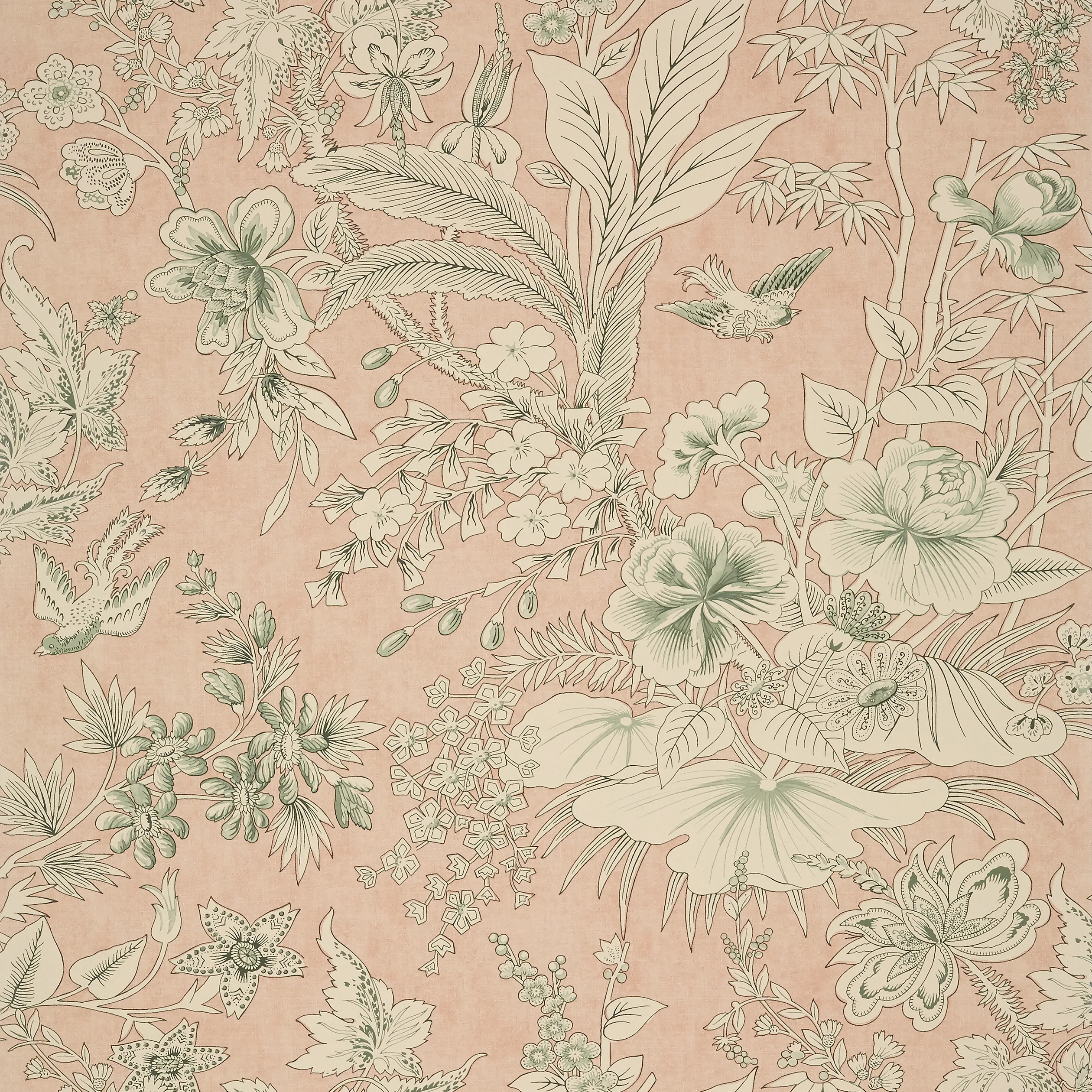 T13600 | Rosalind – Blush