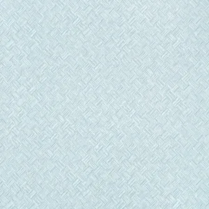 Thibaut Saddle Weave in Powder Blue (T34063)