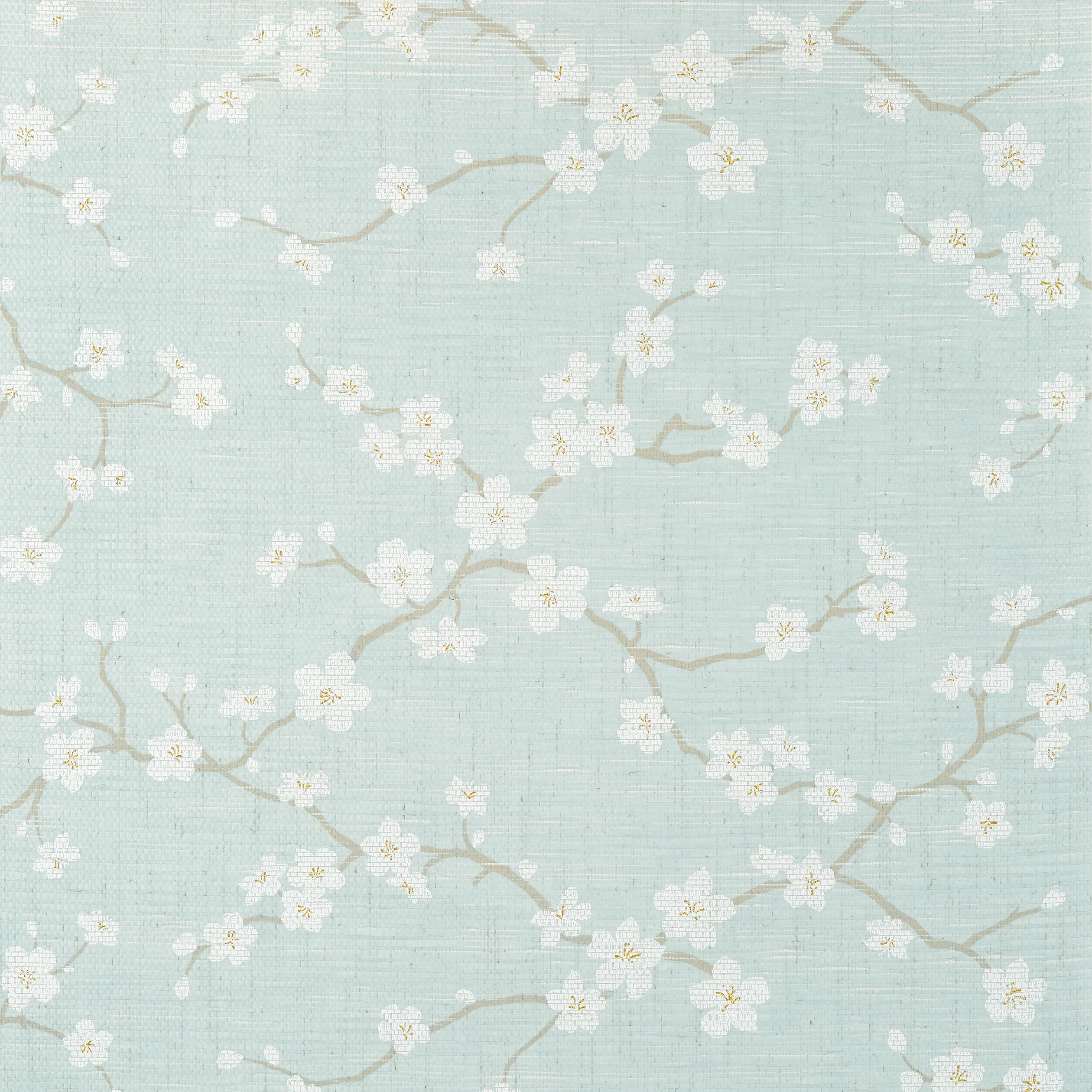 T75516 | Sakura – Aqua