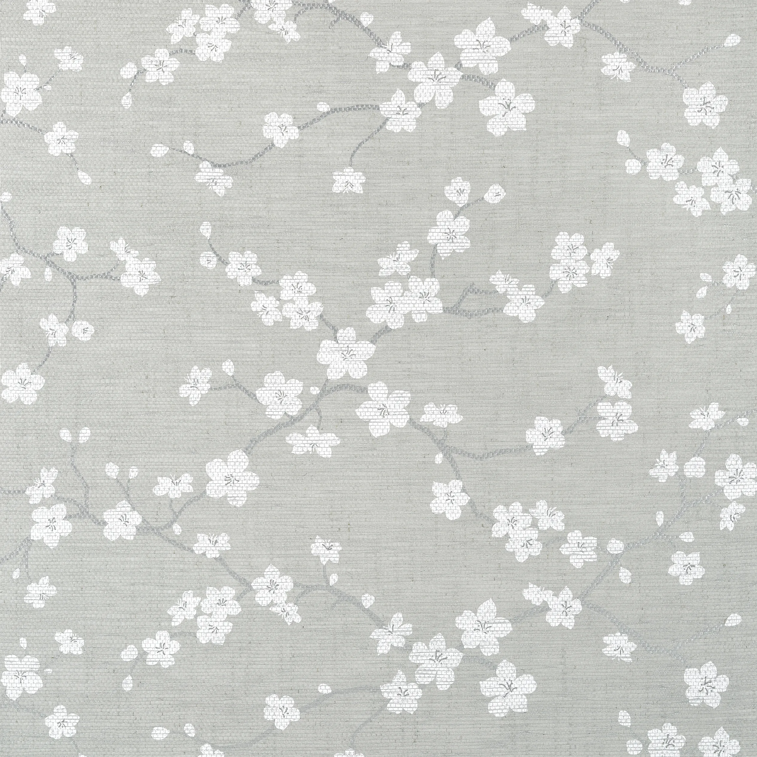 Thibaut Sakura in Grey (T75515)