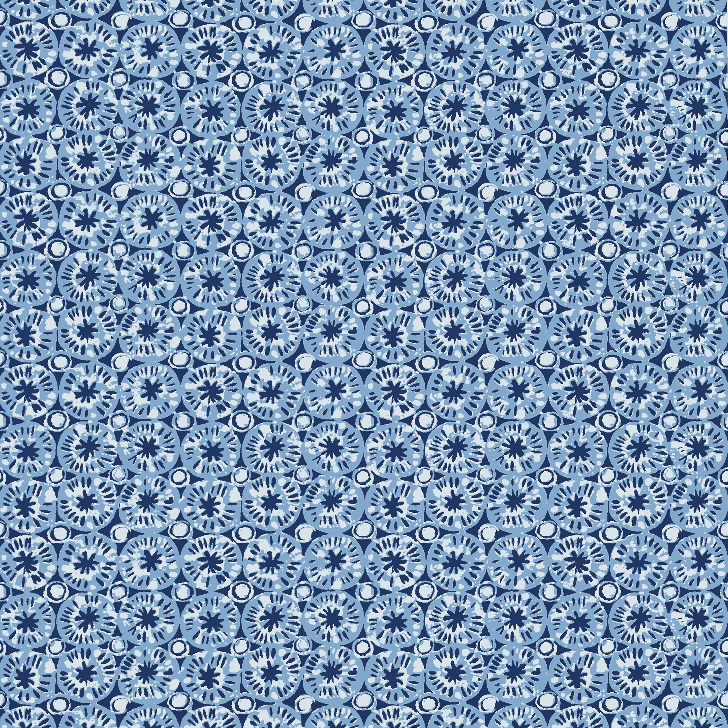 T15855 | Sand Dollar – Blue
