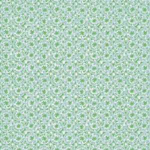Thibaut Sand Dollar in Green and Blue (T15856)