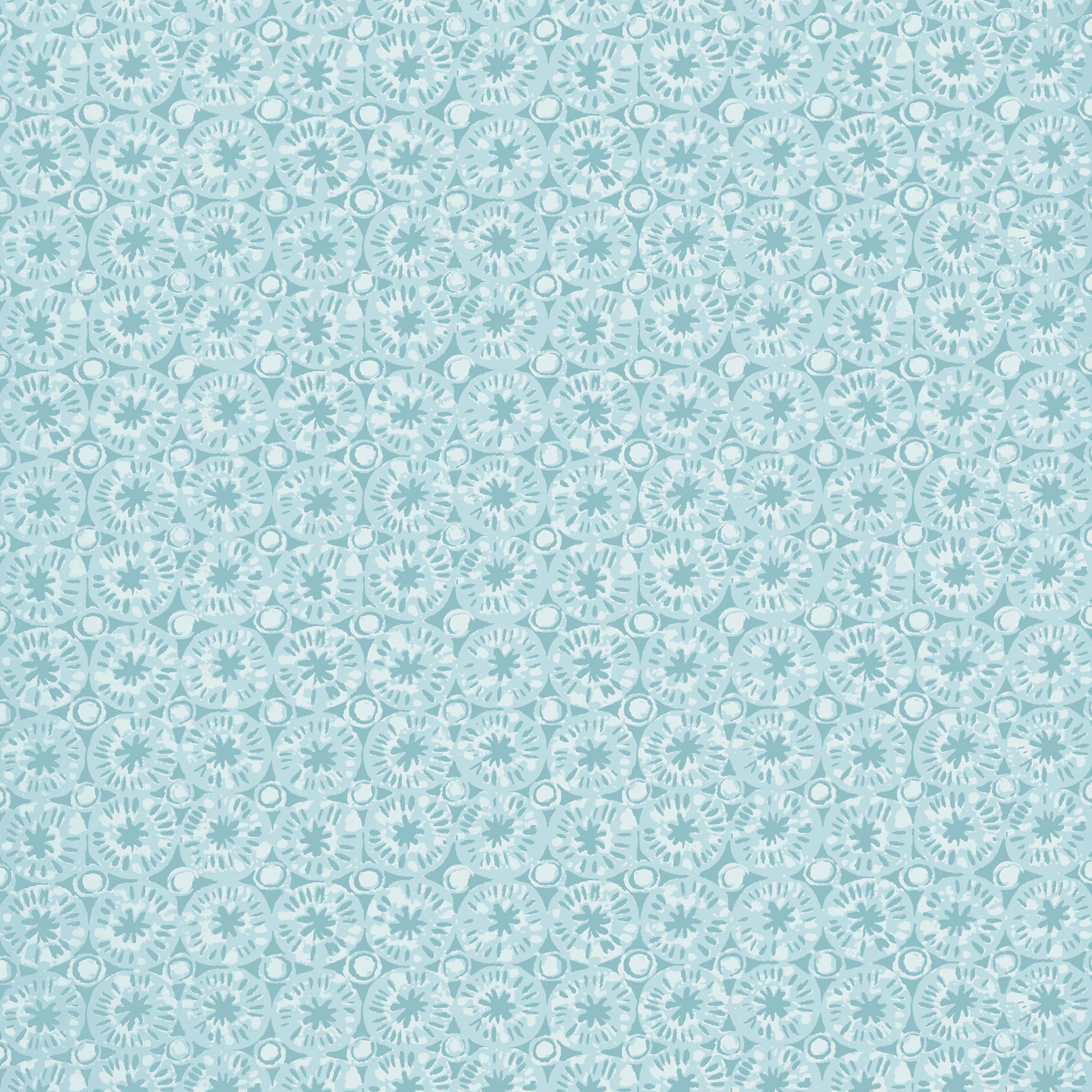T15858 | Sand Dollar – Seaglass