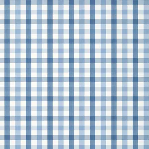 Anna French Saybrook Check in Light Blue (AT15147)