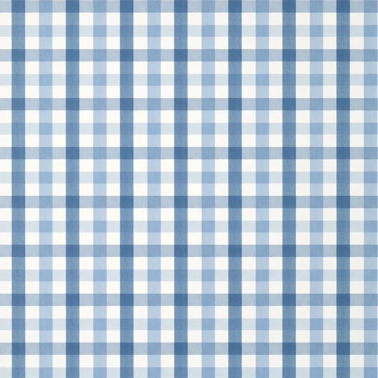 Anna French Saybrook Check in Light Blue (AT15147)
