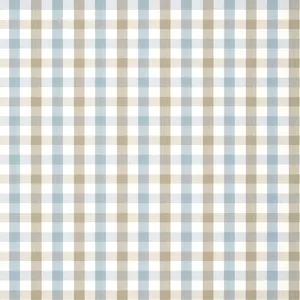 Anna French Saybrook Check in Spa Blue and Beige (AT15151)