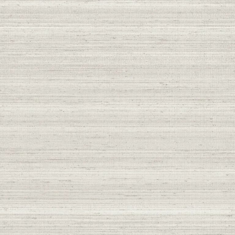 Armani Seta Fiammata in Light Grey (9780)