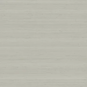Armani Seta in Grey (9770)