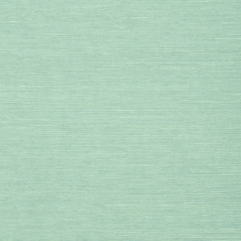 Thibaut Shang Extra Fine Sisal in Aqua (T5020)