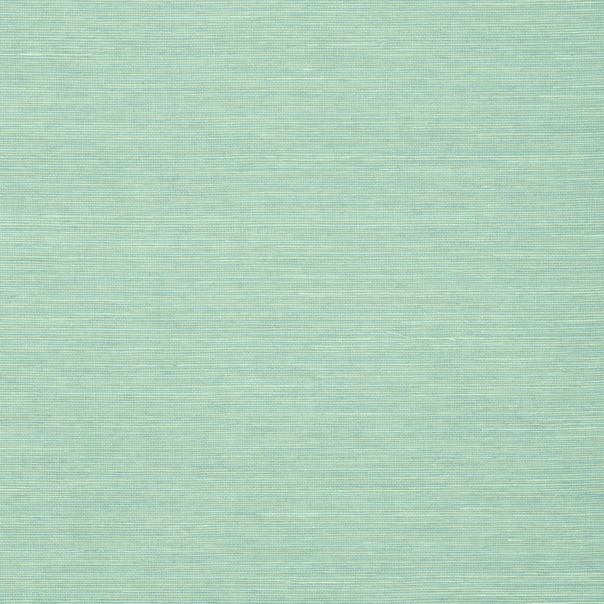 T5020 | Shang Extra Fine Sisal – Aqua