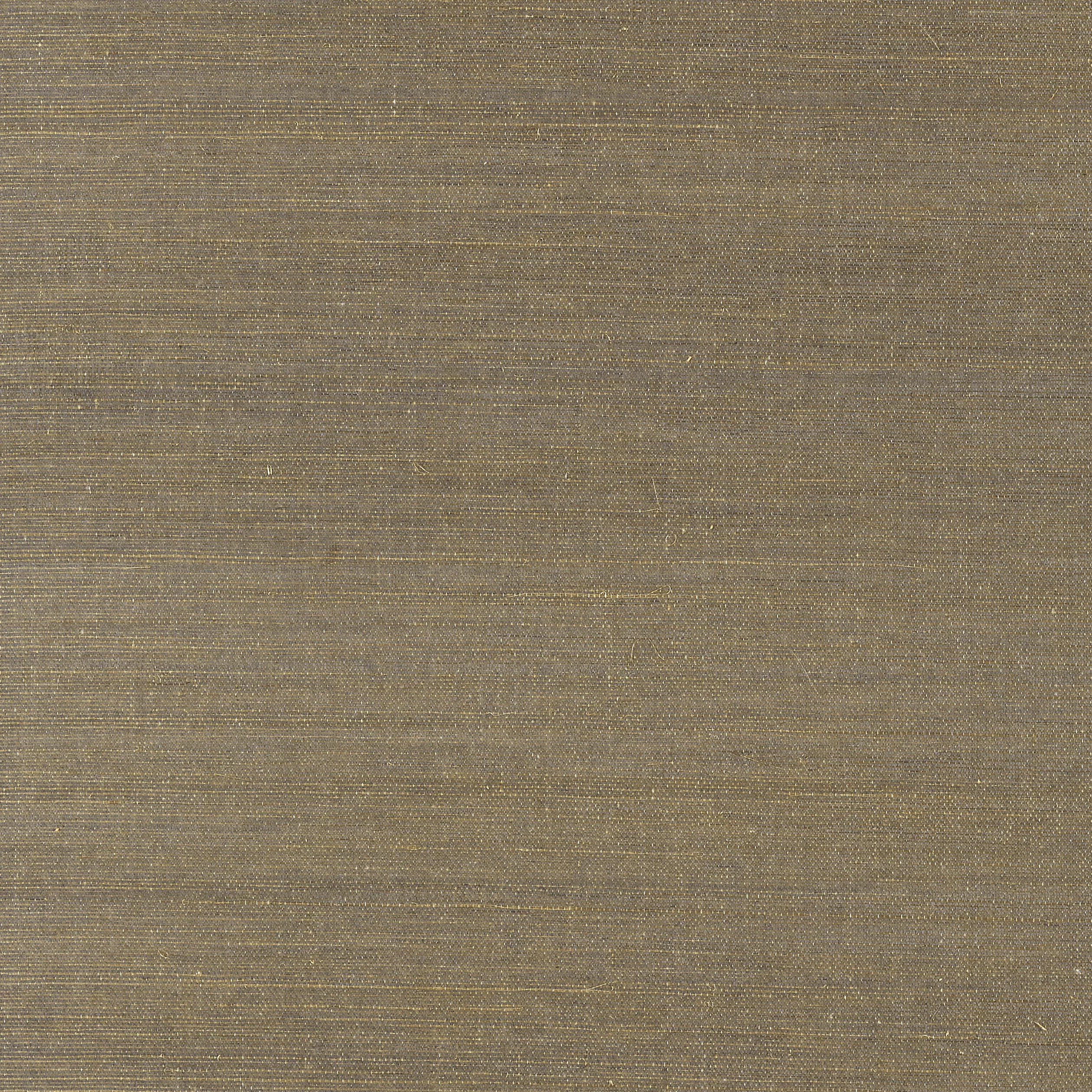 T41176 | Shang Extra Fine Sisal – Ash