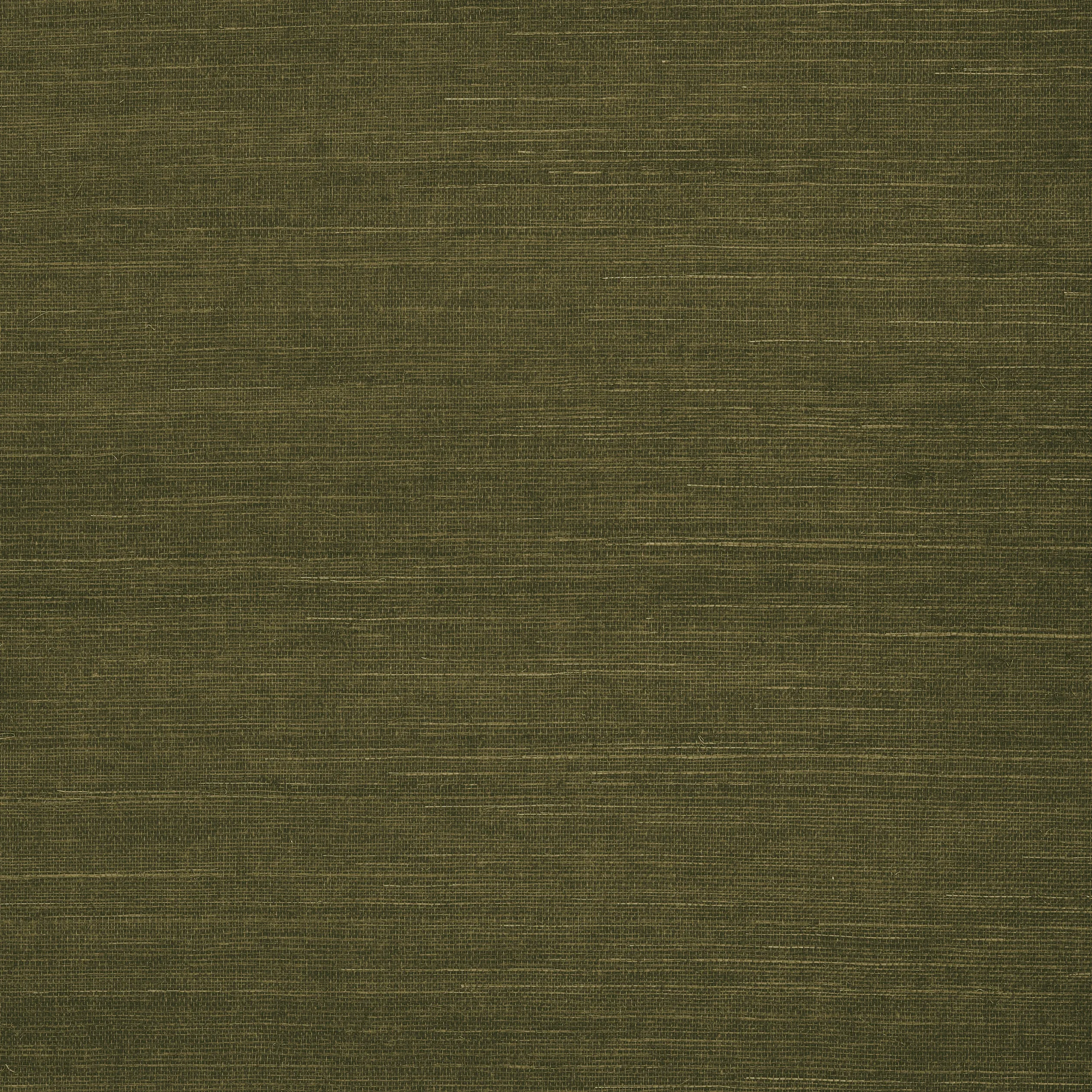 T5027 | Shang Extra Fine Sisal – Avocado