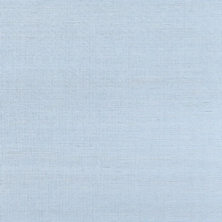 Thibaut Shang Extra Fine Sisal in Bahama (T19620)