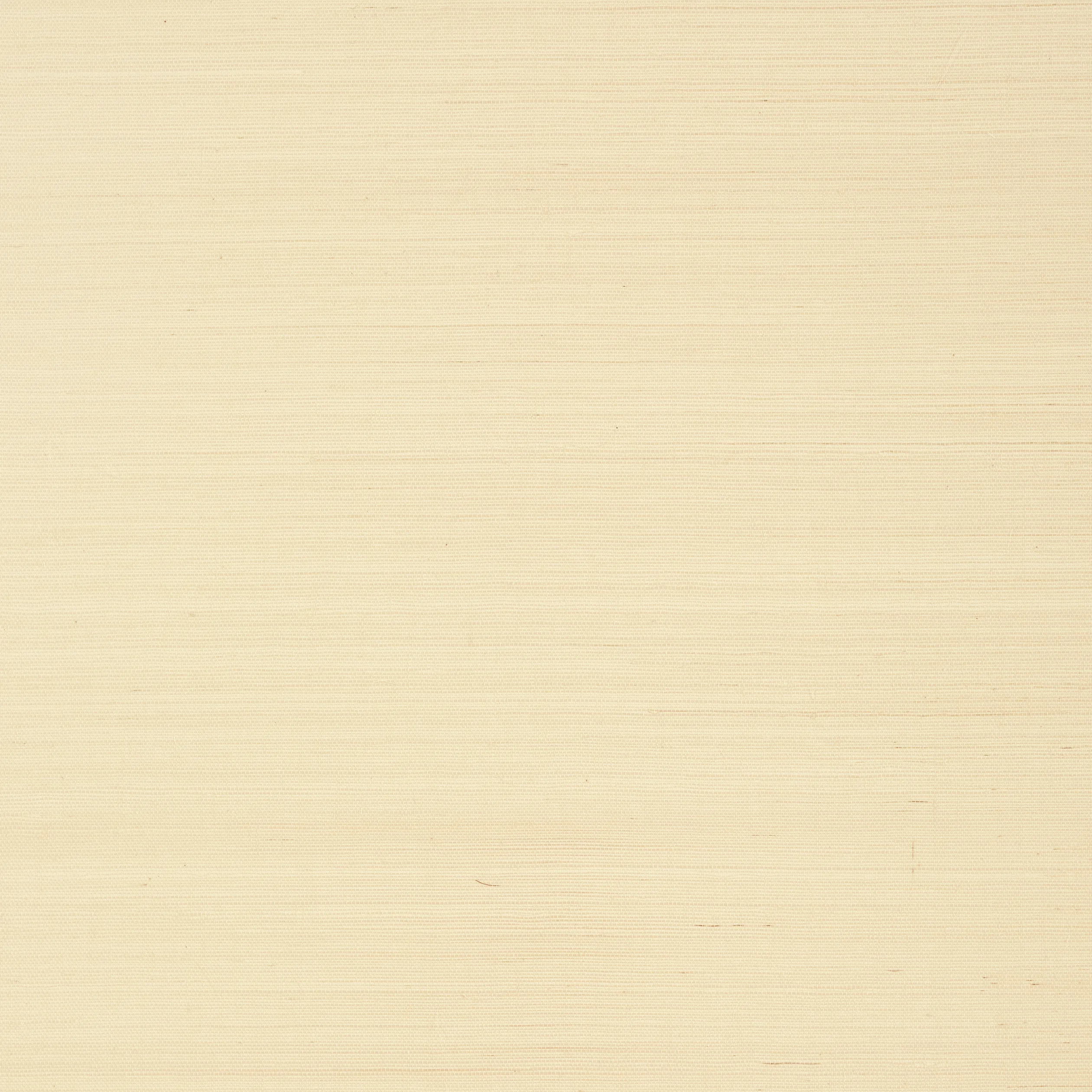 T41159 | Shang Extra Fine Sisal – Beige