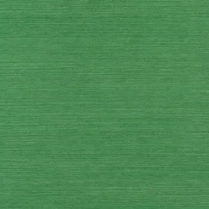 Thibaut Shang Extra Fine Sisal in Emerald Green (T19612)