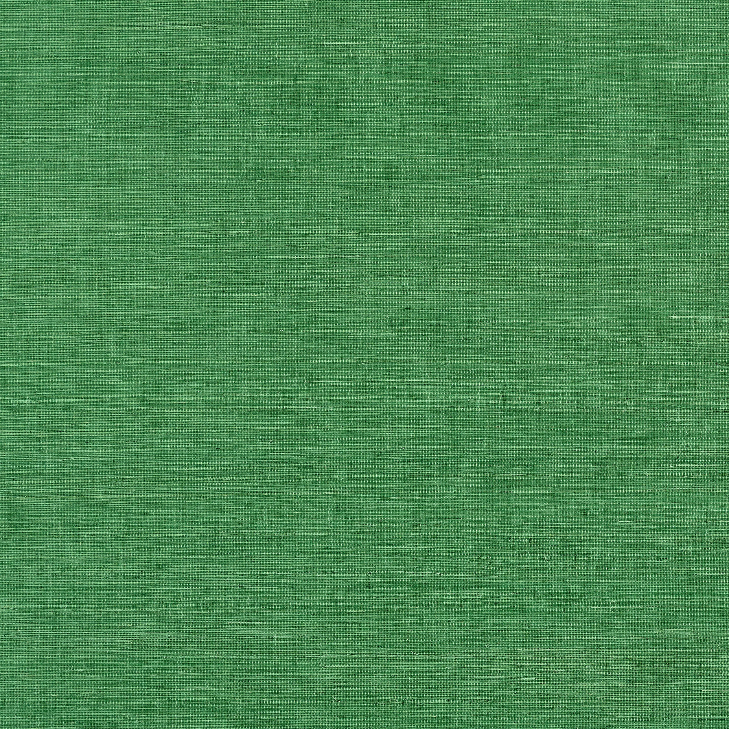 T19612 | Shang Extra Fine Sisal – Emerald Green