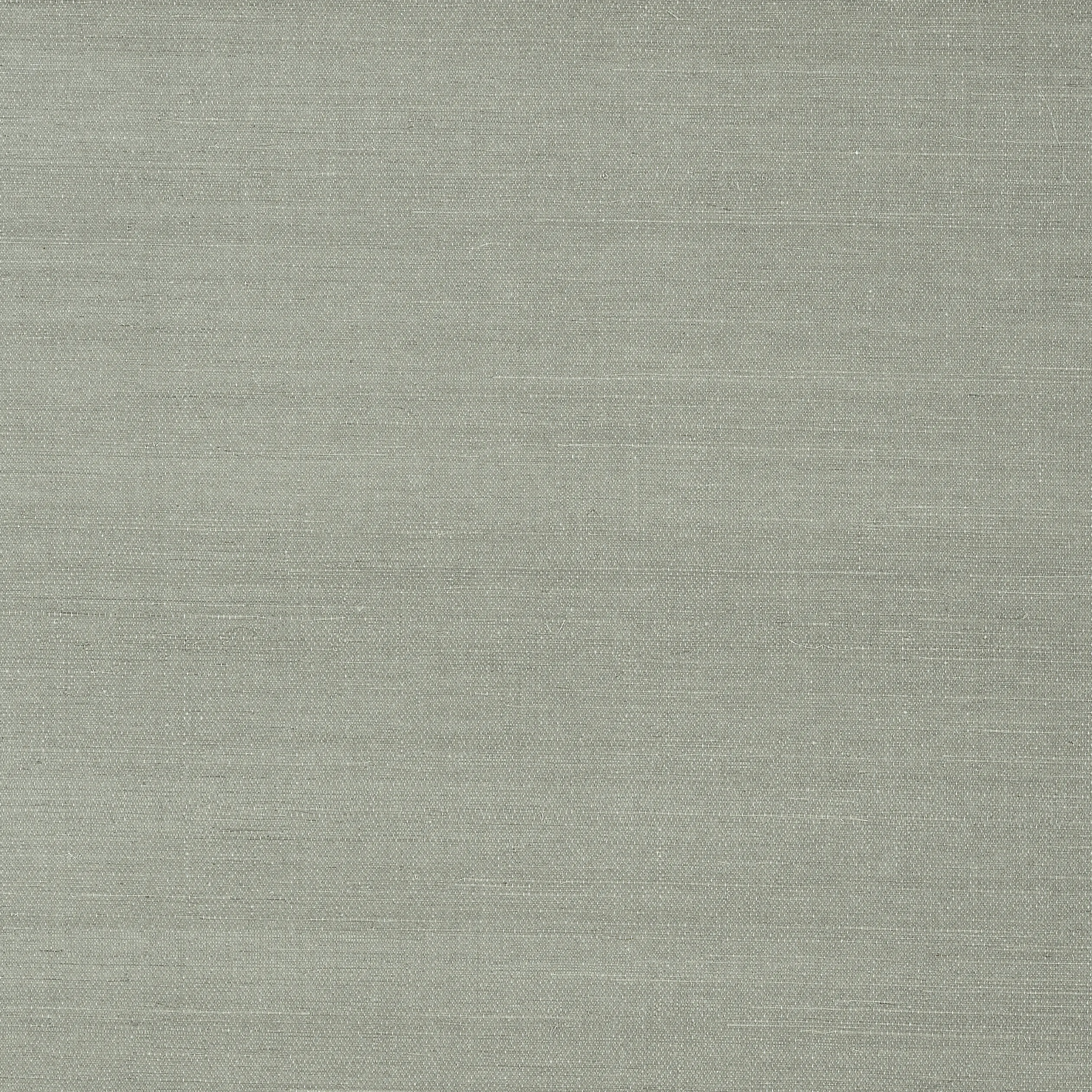 T41169 | Shang Extra Fine Sisal – Flannel