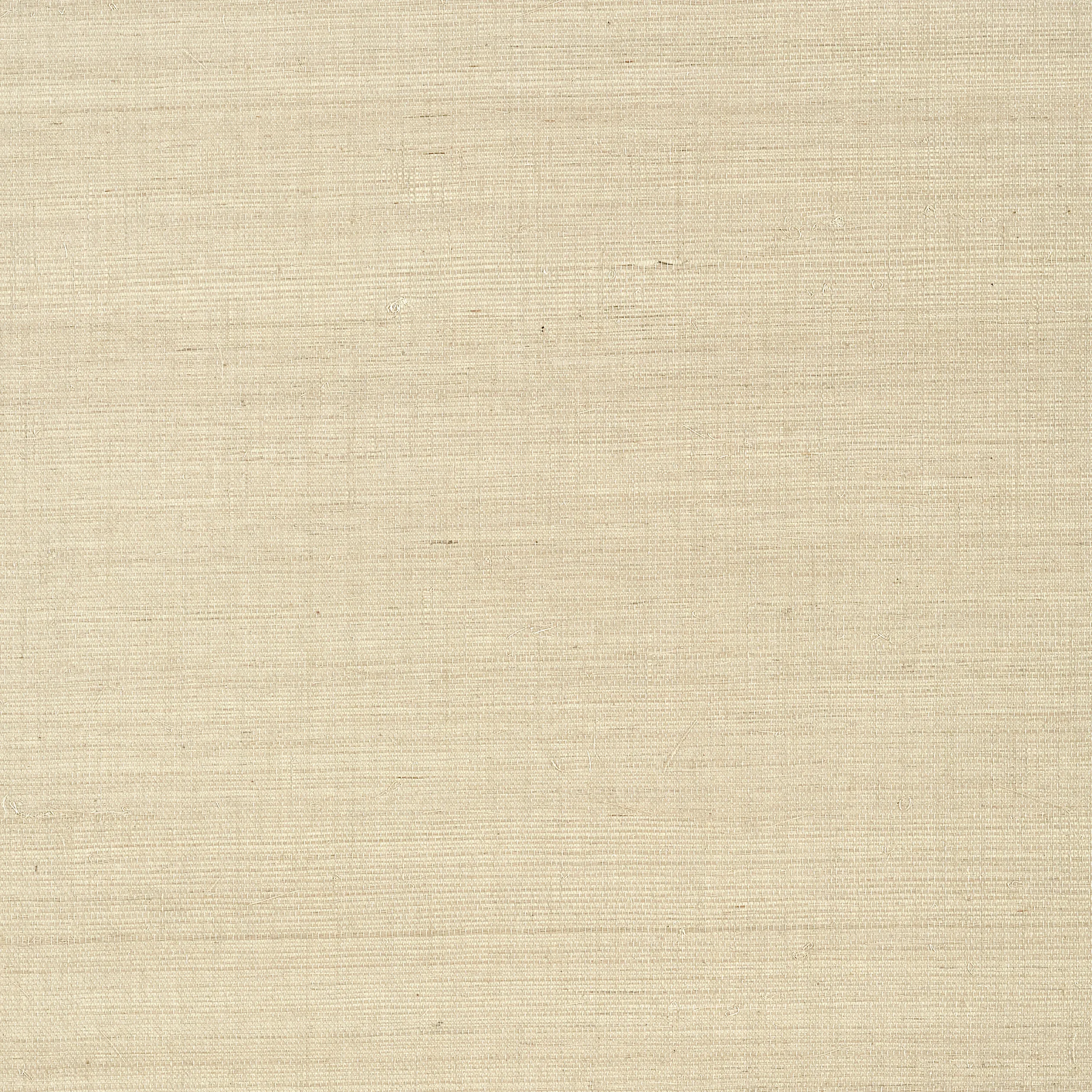 T41163 | Shang Extra Fine Sisal – Flax