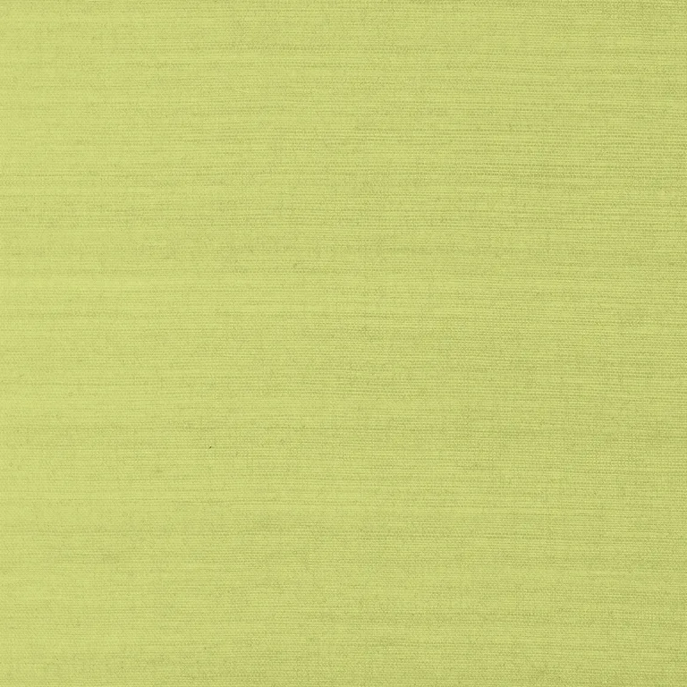 Thibaut Shang Extra Fine Sisal in Green (T41181)