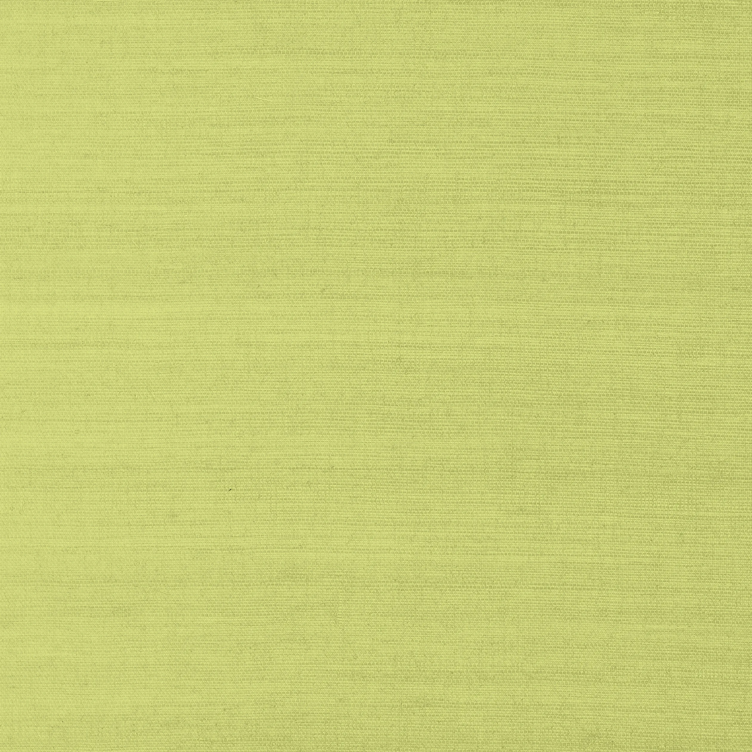 T41181 | Shang Extra Fine Sisal – Green