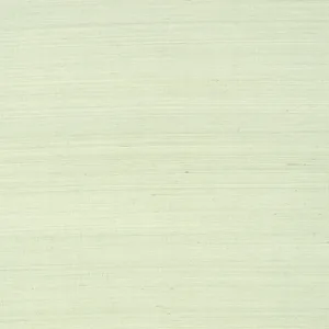 Thibaut Shang Extra Fine Sisal in Green Tea (T41162)