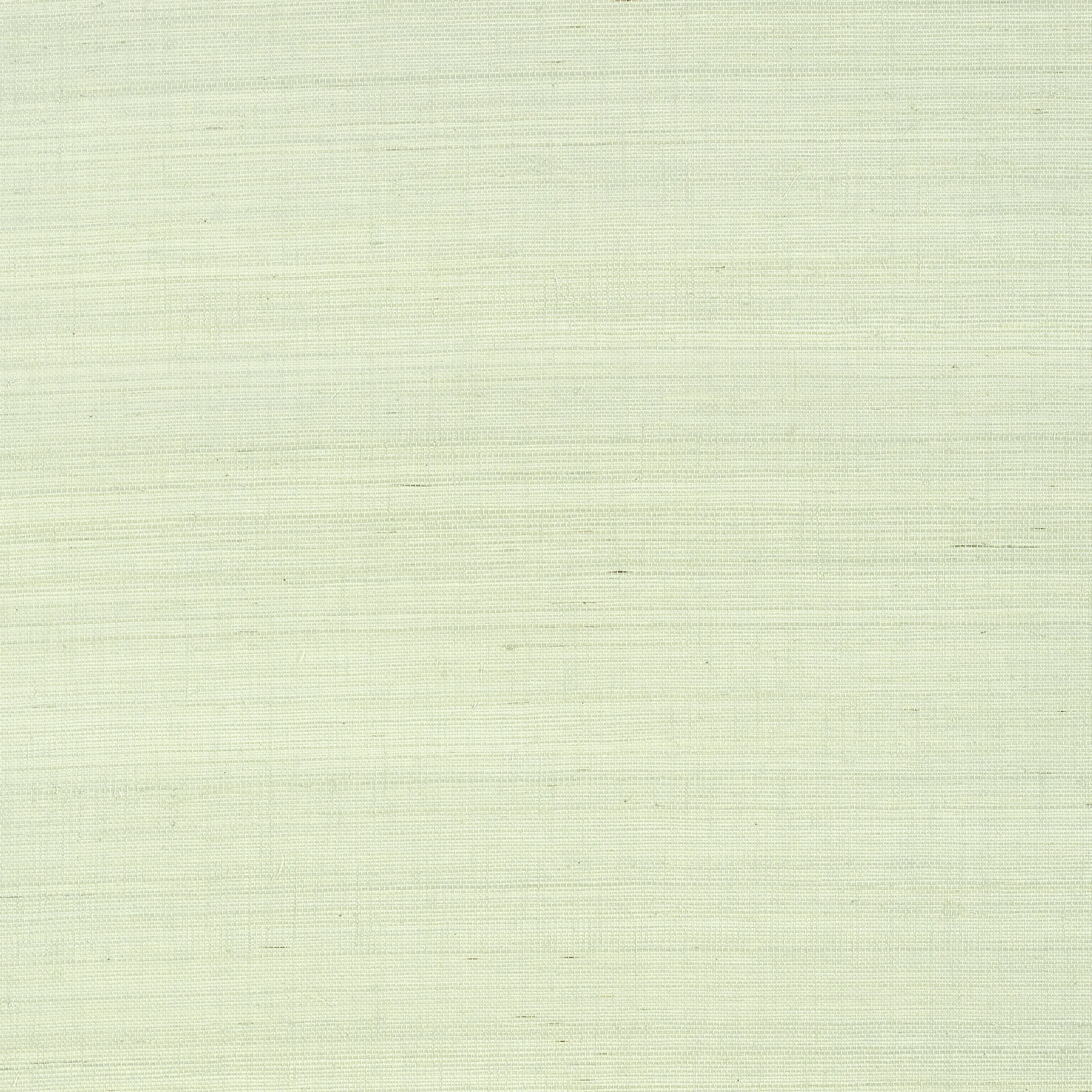 T41162 | Shang Extra Fine Sisal – Green Tea