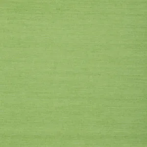 Thibaut Shang Extra Fine Sisal in Kelly Green (T72832)