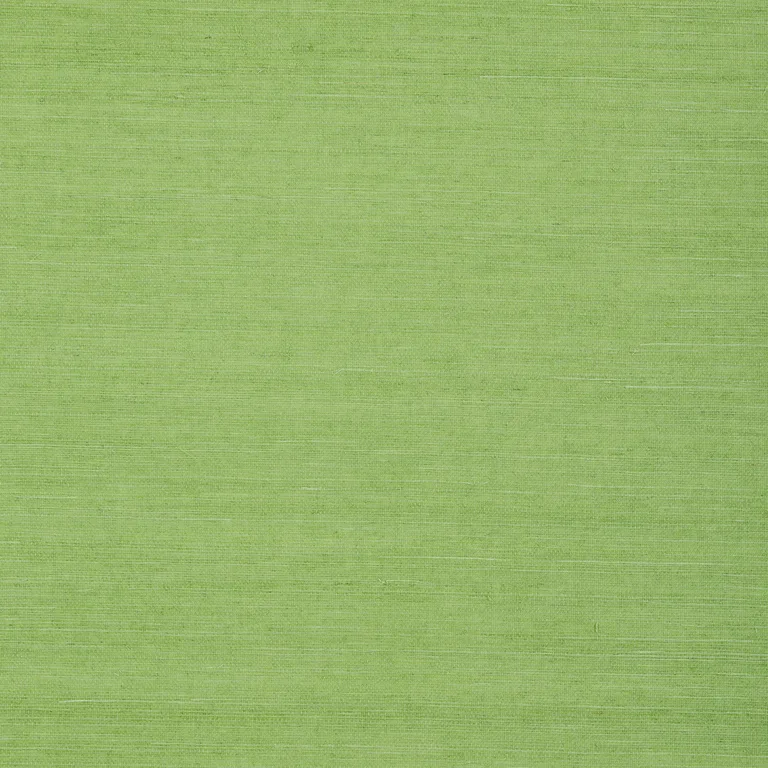 Thibaut Shang Extra Fine Sisal in Kelly Green (T72832)