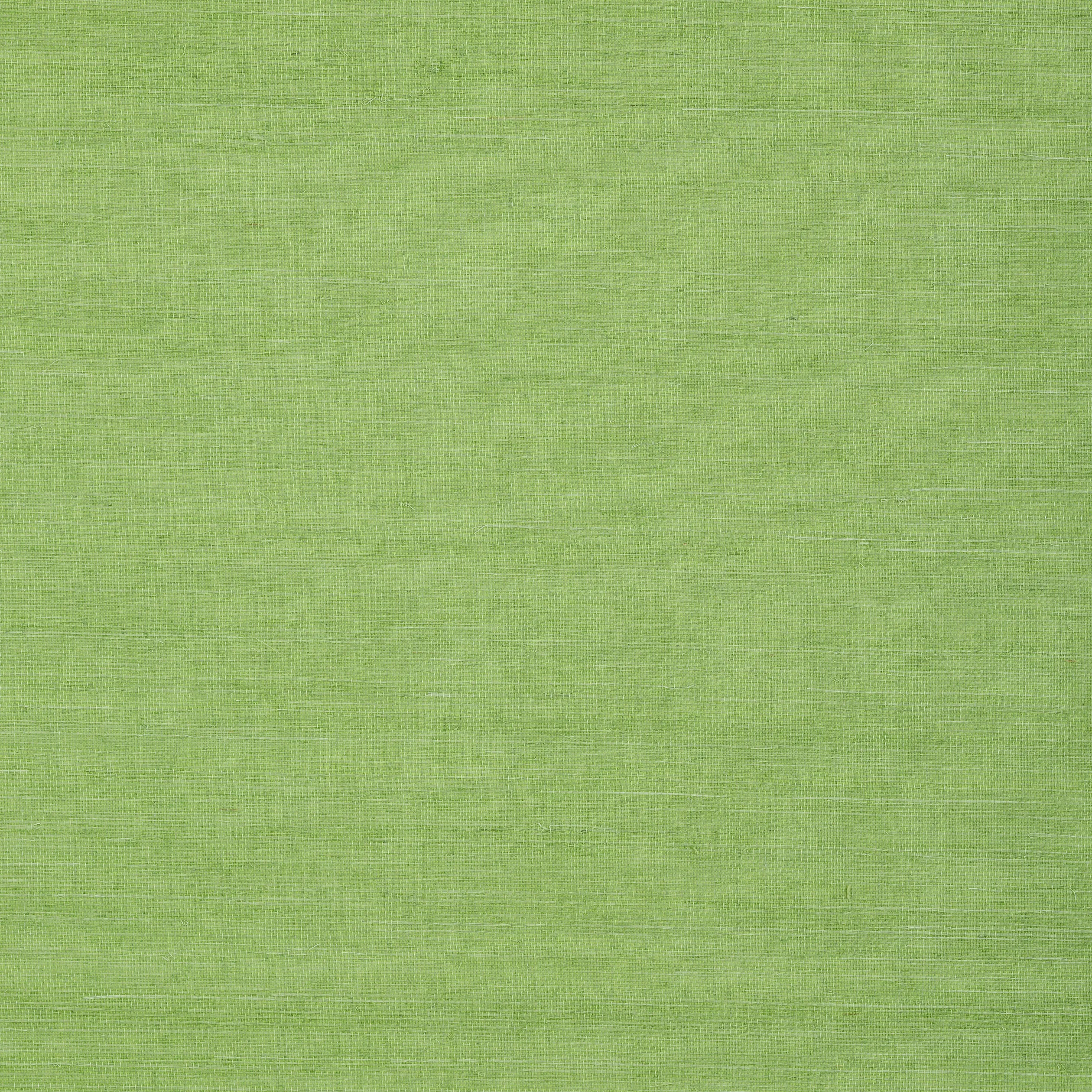 Thibaut Shang Extra Fine Sisal in Kelly Green (T72832)