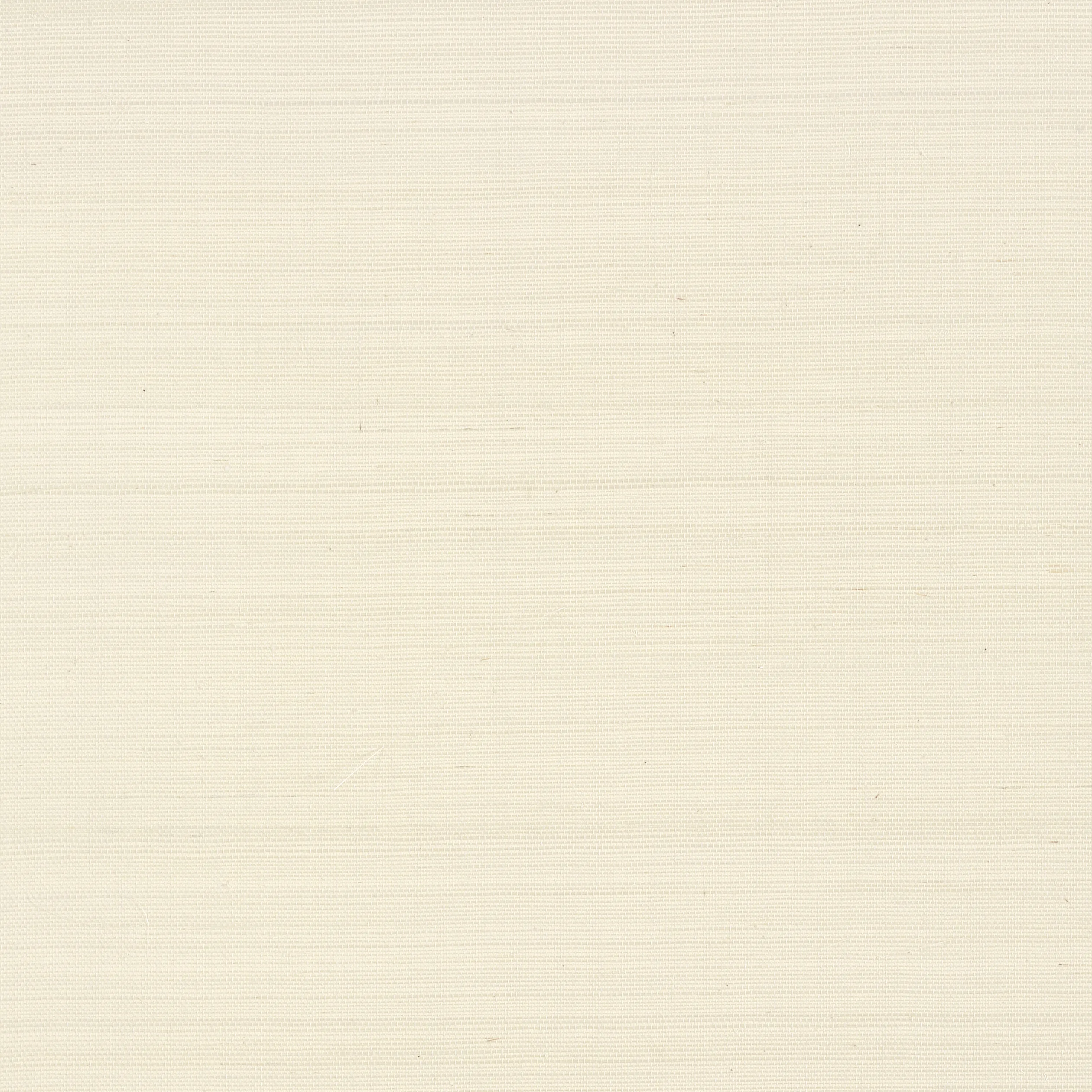 T41161 | Shang Extra Fine Sisal – Light Taupe