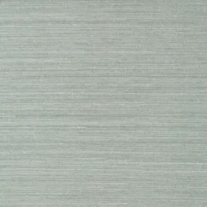 Thibaut Shang Extra Fine Sisal in Mineral (T41168)