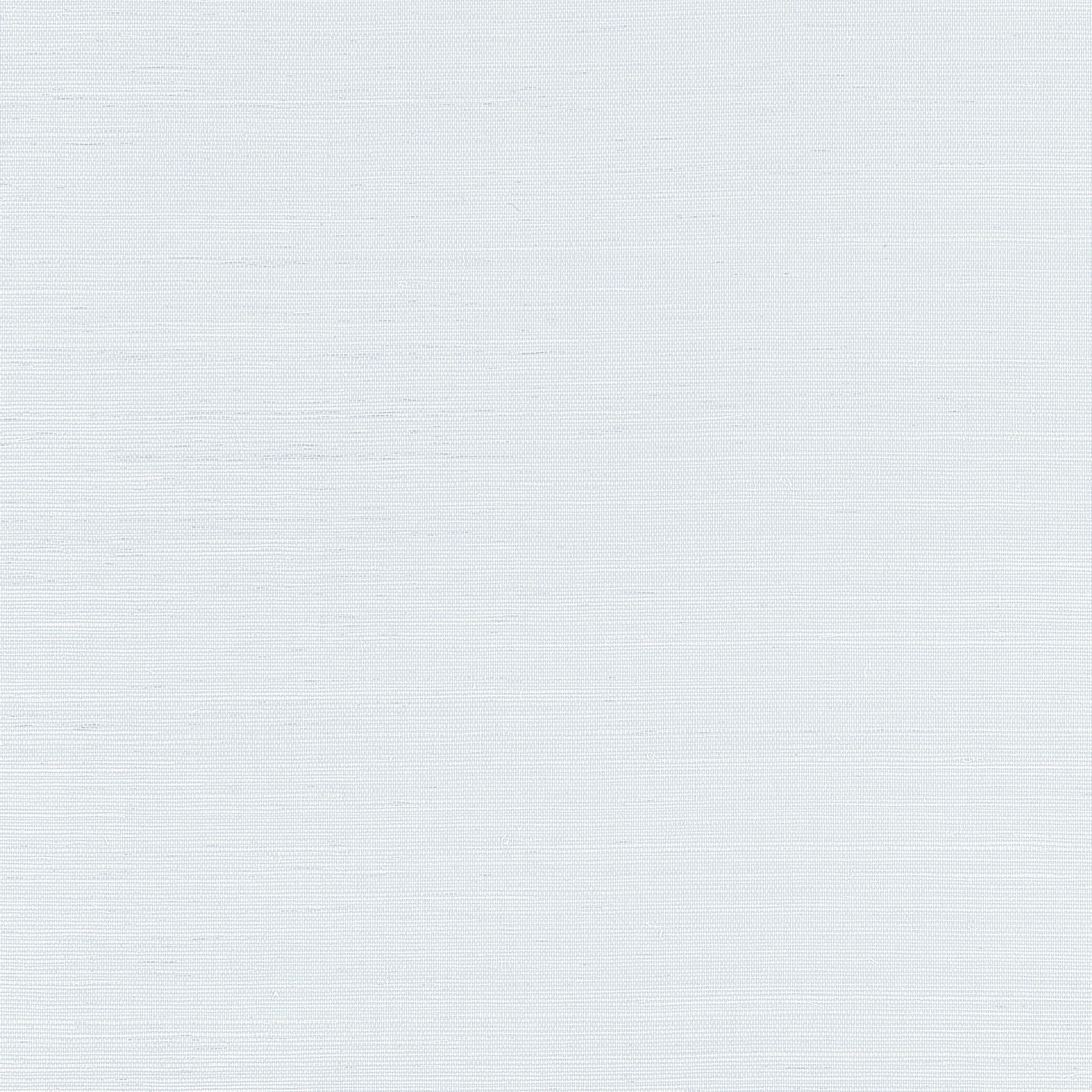 T19617 | Shang Extra Fine Sisal – Mist
