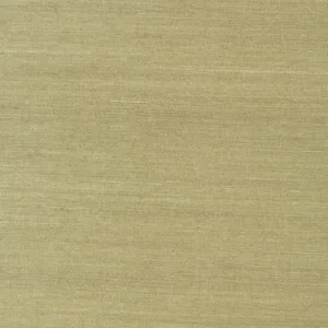 Thibaut Shang Extra Fine Sisal in Moss (T41166)