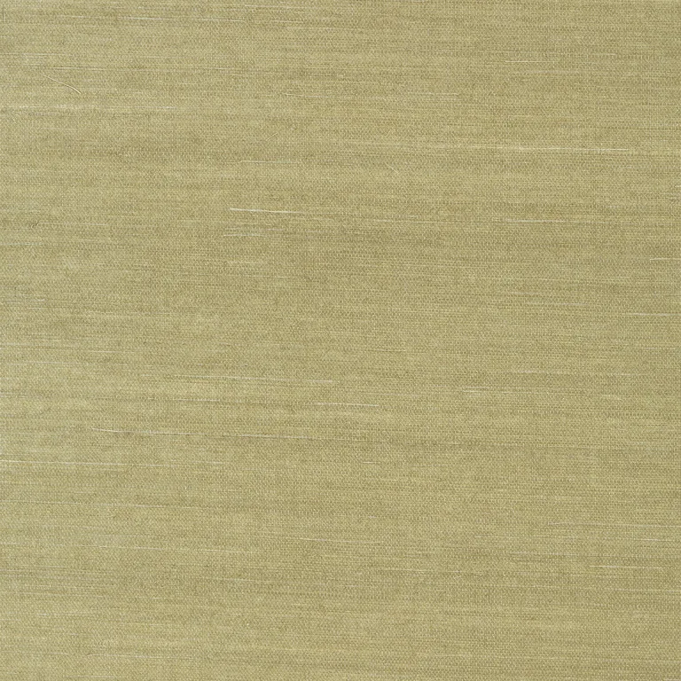 Thibaut Shang Extra Fine Sisal in Moss (T41166)