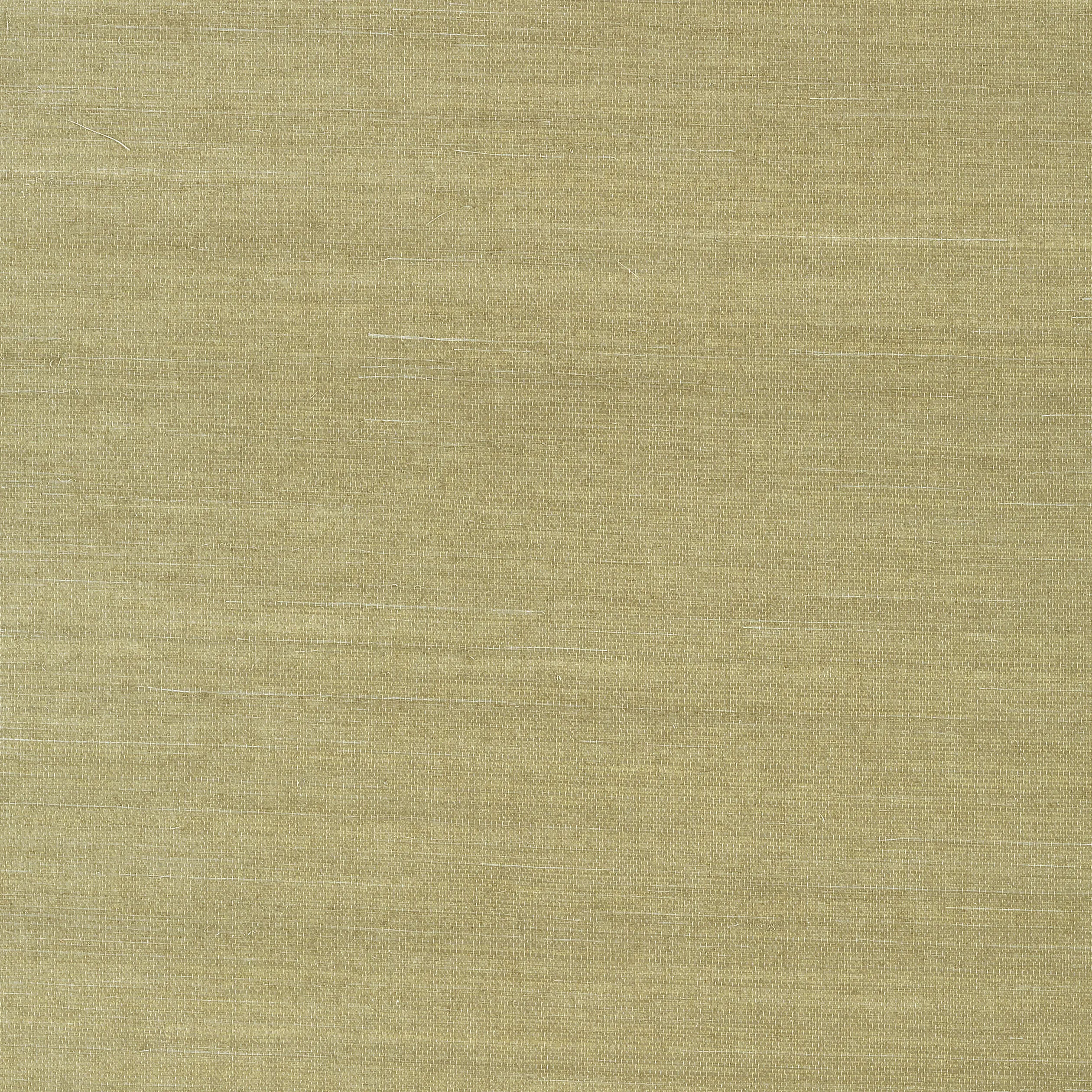 T41166 | Shang Extra Fine Sisal – Moss