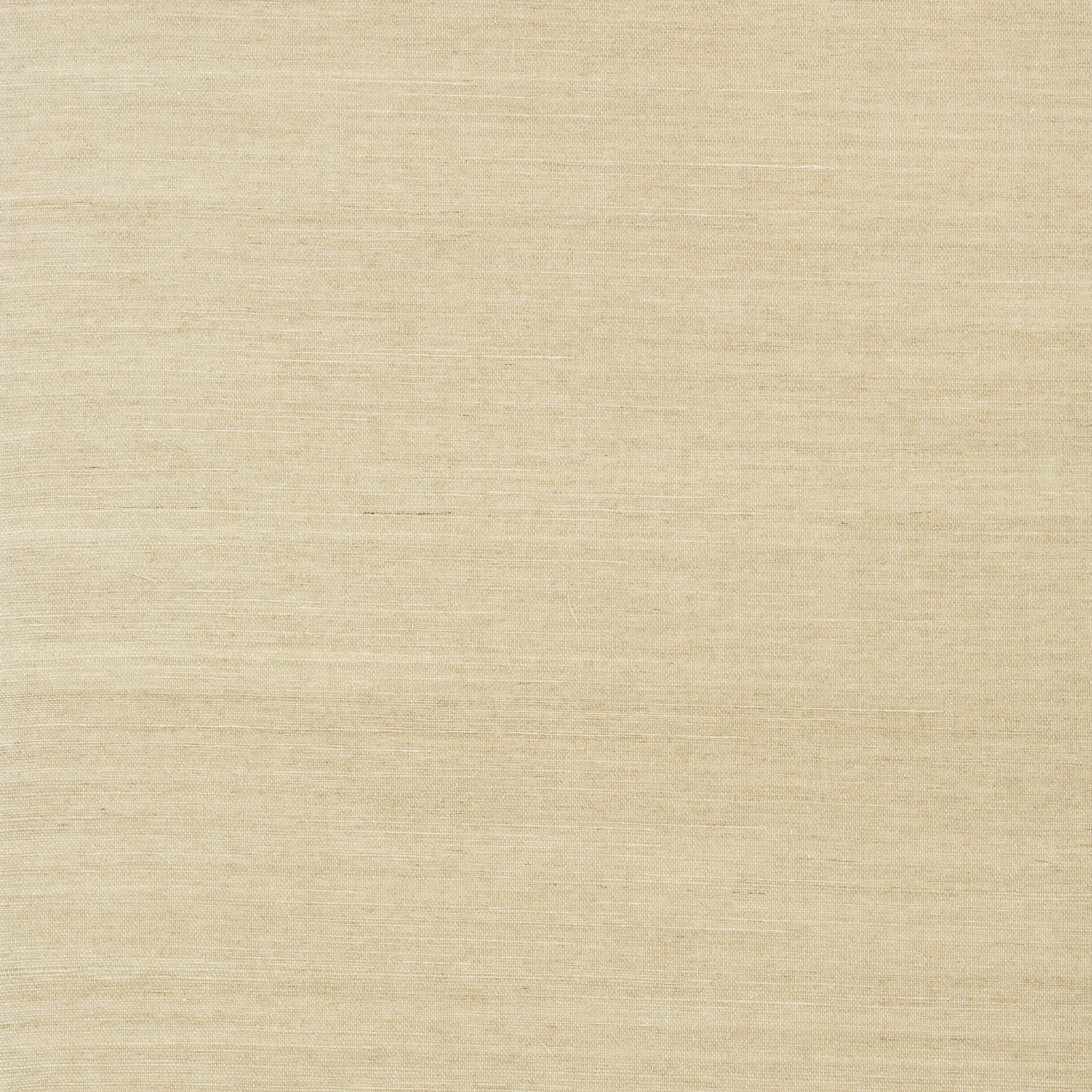 Thibaut Shang Extra Fine Sisal in Parchment (T5033)